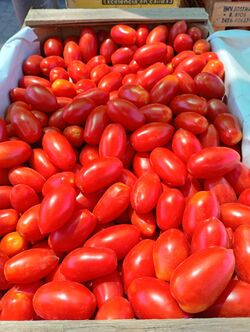 Tomate Cherry Cajón