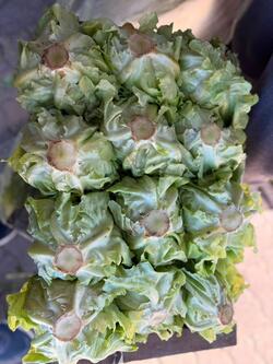 Lech. Manteca Rio IV 1/2 Cajón