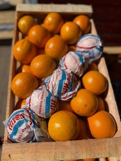 Naranja Jugo de Frío Cajón