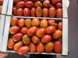 Tomate Perita Cajón