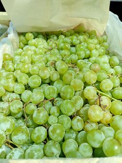 Uva Blanca/Negra San Juan